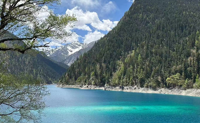 【瑞臻湘西】长沙、韶山、天门山、张家界森林公园 、玻璃栈道、黄龙洞、凤凰古城、2飞6日 